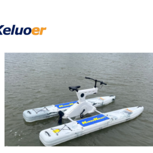 Electric Single Water Bike