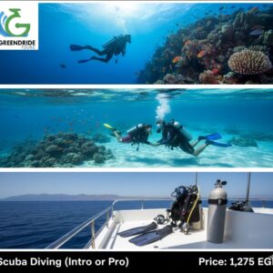 Scuba Diving (Intro or Pro)