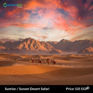 Sunrise or Sunset Safari